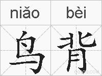 鸟背的拼音