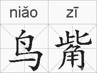 鸟觜的拼音
