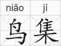 鸟集的拼音