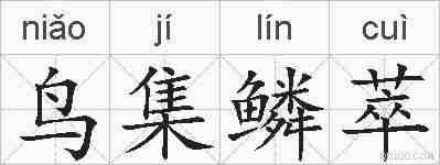 鸟集鳞萃的拼音