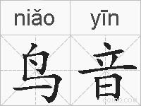 鸟音的拼音