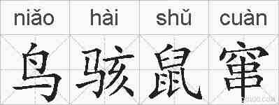 鸟骇鼠窜的拼音