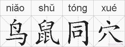 鸟鼠同穴的拼音