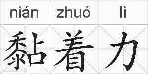 黏着力的拼音