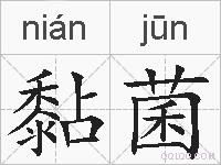 黏菌的拼音