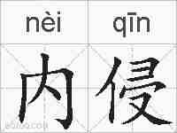 内侵的拼音