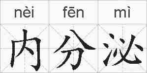 内分泌的拼音