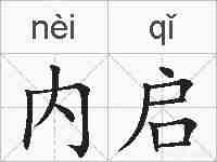 内启的拼音