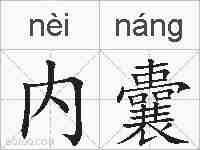 内囊的拼音