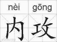 内攻的拼音