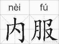 内服的拼音