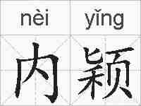 内颖的拼音