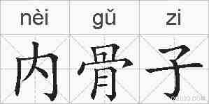 内骨子的拼音