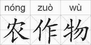 农作物的拼音