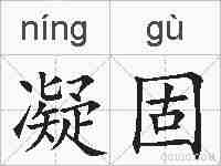 凝固的拼音