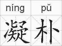 凝朴的拼音