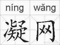 凝网的拼音