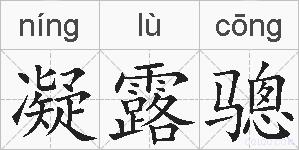 凝露骢的拼音
