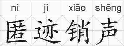 匿迹销声的拼音
