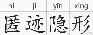 匿迹隐形的拼音