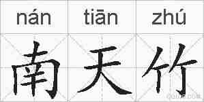 南天竹的拼音