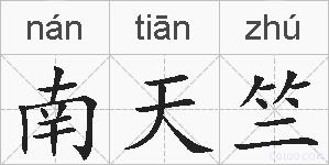 南天竺的拼音