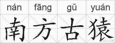 南方古猿的拼音