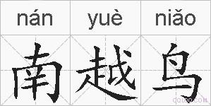 南越鸟的拼音
