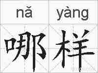 哪样的拼音