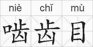 啮齿目的拼音