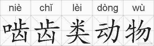 啮齿类动物的拼音