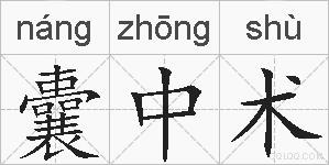 囊中术的拼音