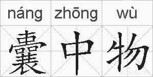 囊中物的拼音