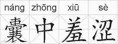囊中羞涩的拼音