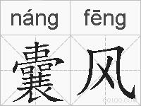 囊风的拼音