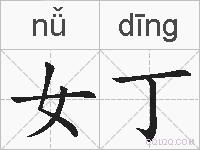 女丁的拼音