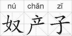 奴产子的拼音