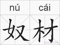 奴材的拼音
