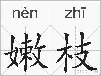 嫩枝的拼音
