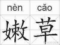 嫩草的拼音