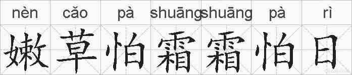 嫩草怕霜霜怕日的拼音