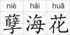 孽海花的拼音