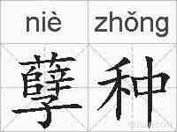 孽种的拼音