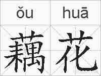 藕花的拼音