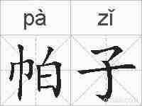 帕子的拼音
