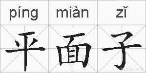 平面子的拼音