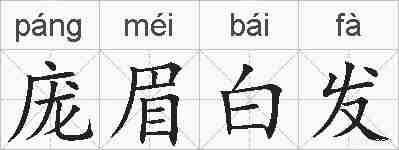 庞眉白发的拼音