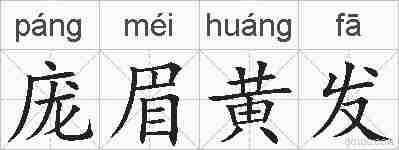 庞眉黄发的拼音