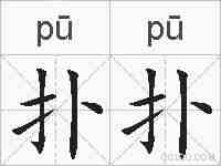 扑扑的拼音