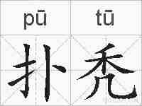 扑秃的拼音